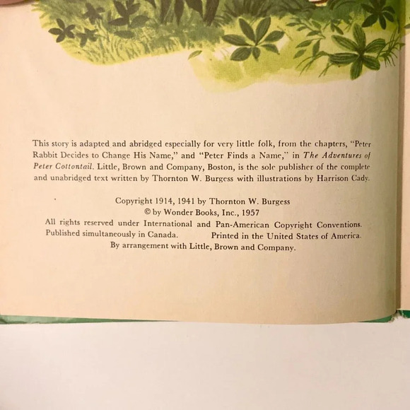 Vintage Lot of 5 Wonder Books Popeye Black Beauty  Peter Cottontail Dinosaur - Picture 15 of 16